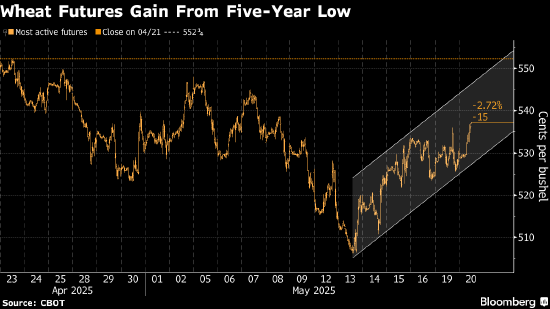 网上配资查询 小麦价格上涨 因有迹象显示主要进口国兴趣重燃